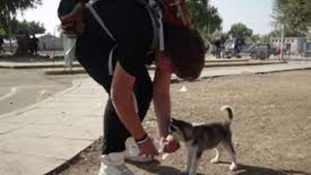 Mladi izbjeglica i njegov ljubimac u bijegu pred ratom u Siriji propješačili više od 500 kilometara (2015.)