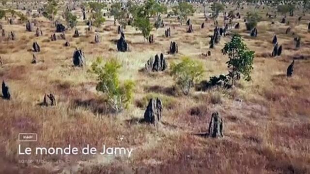Le monde de Jamy - 1er novembre