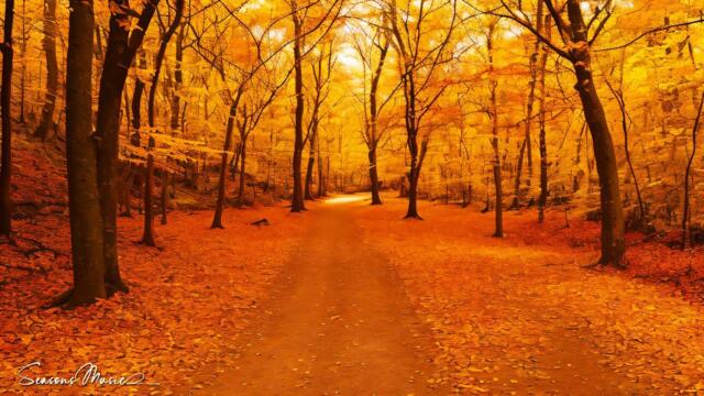 ЗОЛОТАЯ ОСЕНЬ! Сборник ЛУЧШИХ Мелодий от которых мурашки по телу 🍁 Музыка Для Души