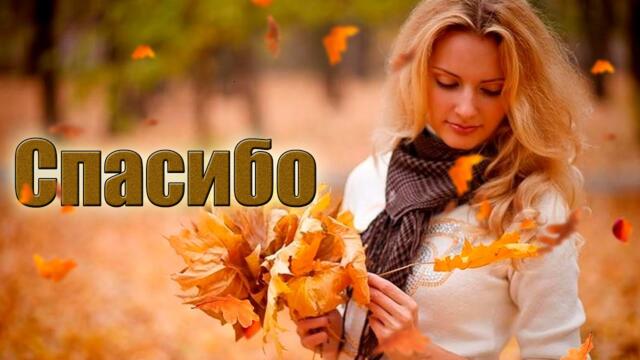 Тимур Никитин   -   Спасибо!