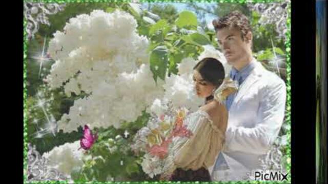 Максим Аршавин   -   Белая сирень