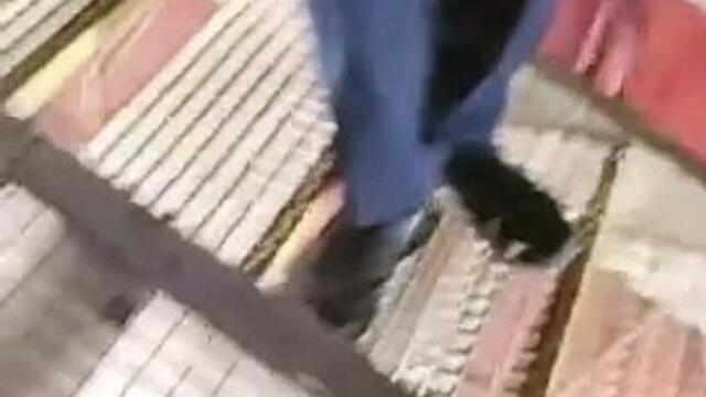 IRL Streamer Stuck On RollerCoaster