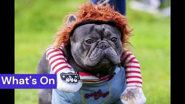 The most read stories in Northampton