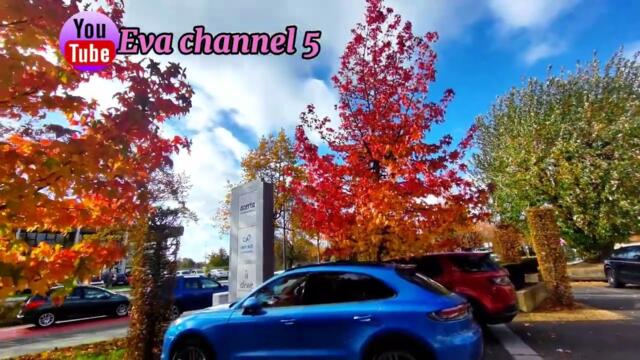 Капли дождя.