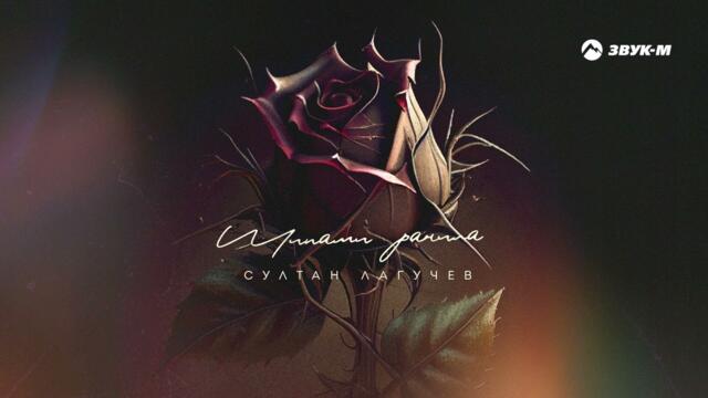 Султан Лагучев - Шипами ранила