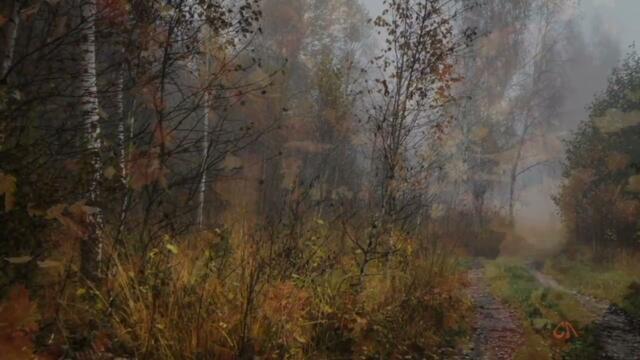 Света Ланика    -    УХОДЯЩАЯ ОСЕНЬ.