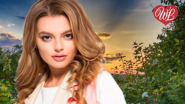 Екатерина Семенова   -    МОЙ ЛЮБИМЫЙ МИШКА