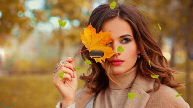 Николай Джинчарадзе   -   "Так часто бывает"