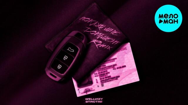 WELLVIZY, STRCTRE - Покажи мне документ