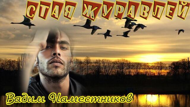 ВАДИМ НАМЕСТНИКОВ   -   СТАЯ ЖУРАВЛЕЙ