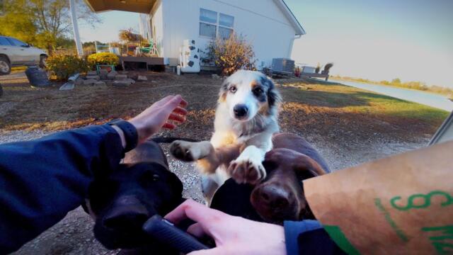 A Week As An Amazon Delivery Driver