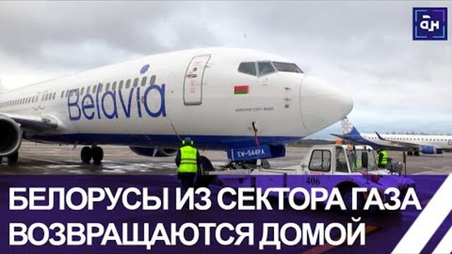 Вопреки санкциям Беларусь эвакуировала своих граждан из сектора Газа. Панорама