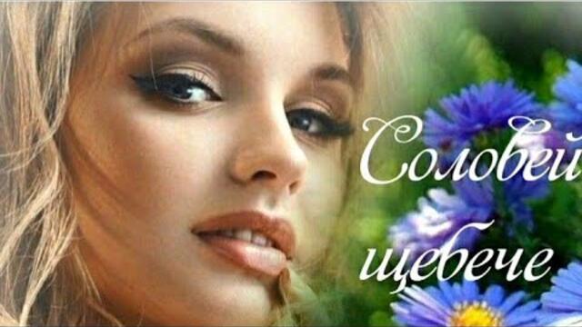 СОЛОВЕЙ ЩЕБЕЧЕ - запальна весільна пісня