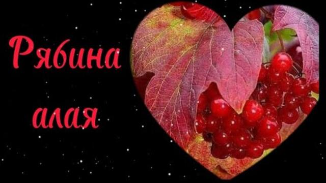 Ирина Билык    -    Рябина алая.