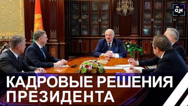 "Поднять отношения на высокий уровень!" Лукашенко назначил новых послов в Китай, Зимбабве, ЮАР и др.
