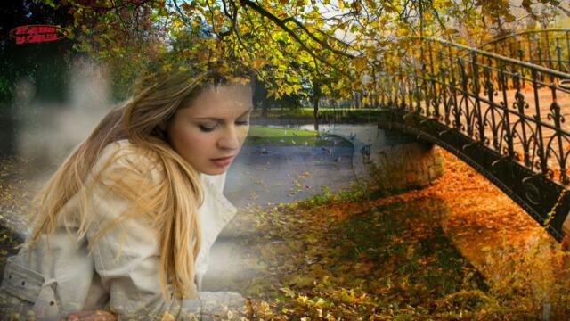 Дмитрий Королев    -   ОДИНОКАЯ ЖЕНЩИНА