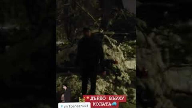 ⚠️ ДЪРВО ВЪРХУ КОЛАТА | 🦁ПЕЖОТО ИЗДЪРЖА НА СТРЕС ТЕСТА - НО ЗИМАТА ПАК НИ ИЗНЕНАДА