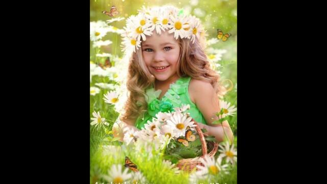 Валерий Палаускас   -    ПОЛЕВЫЕ ЦВЕТЫ