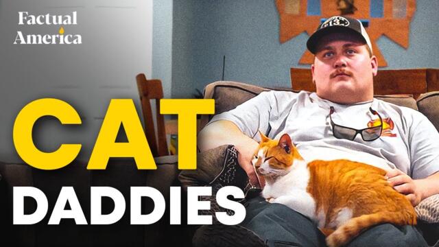 Cat Daddies (2022 Film)  | Documentary