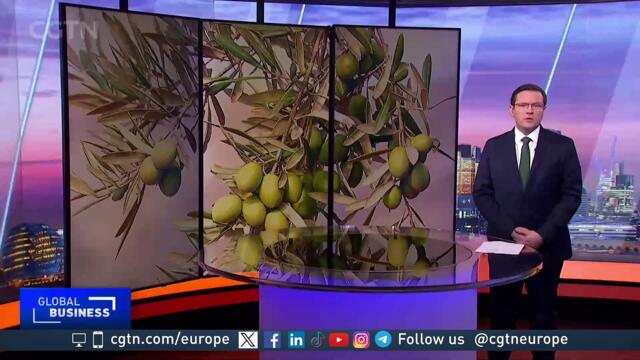 Europe olive oil industry in crisis