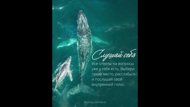 НЕ ПАДАЙ ДУХОМ ГДЕ ПОПАЛО...