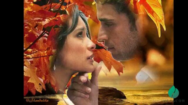 ОСЕННИЕ ЗАРИСОВКИ