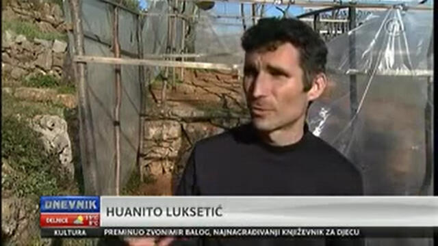Kanabis ga spasio, a sad će zbog toga na sud - Huanito Luksetić 2.11.2014.
