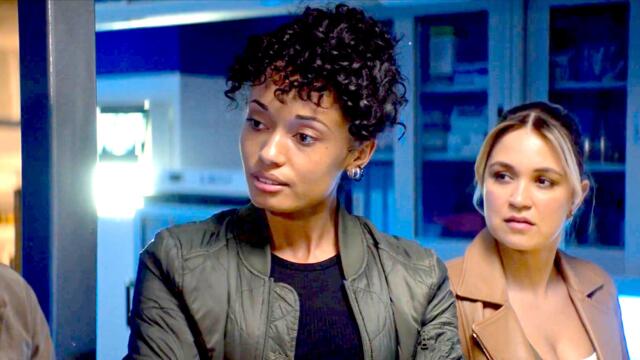 A Handsome Fox on the Next Episode of CBS’ NCIS: Sydney