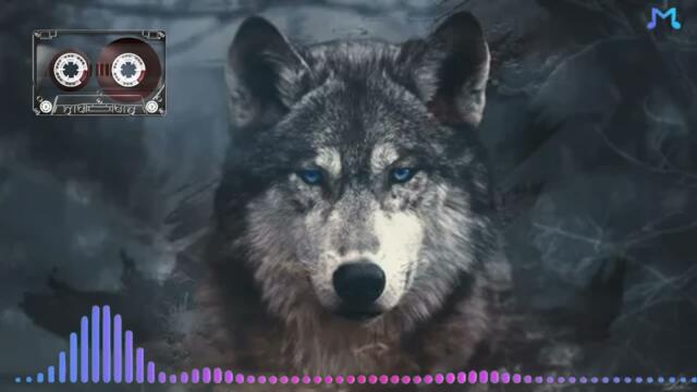 Одинокая волчица