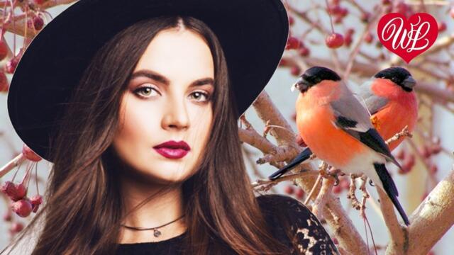 Виктор Королёв    -    А НА ВЕТКАХ СНЕГИРИ