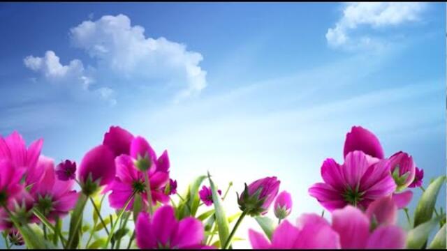 А знаешь, так хочется жить.....