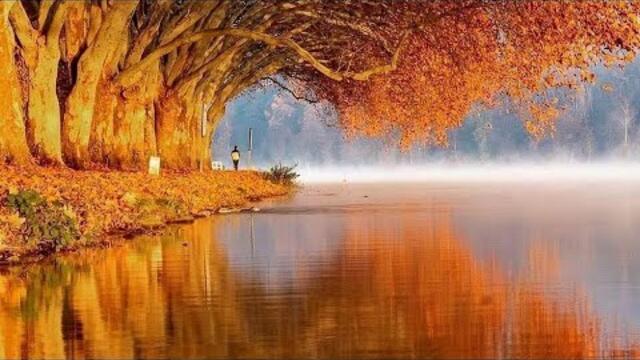 Владимир Ванин   -   Романс.