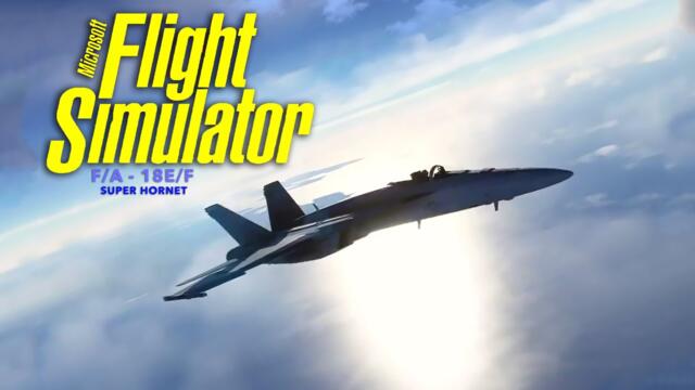 Full Flight - Sydney - Antarctica - Boeing F/A - 18E/F Super Hornet #MSFS