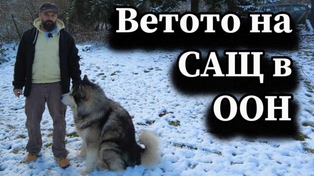 Ветото на САЩ в ООН - А. Сивилов