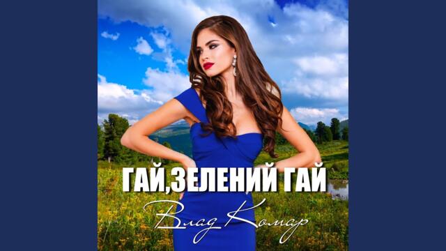 Влад Комар   -    Гай, зелений гай (Ти щаслива будеш)