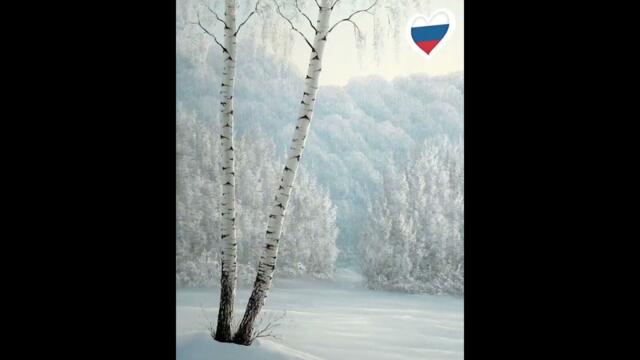 БЕРЁЗОВАЯ РОССИЯ