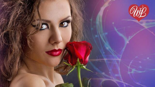 Дайкири     -    ДИСКОШАР