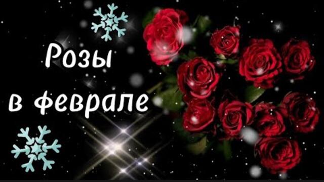 Евгений Войнов   -   Розы в феврале.