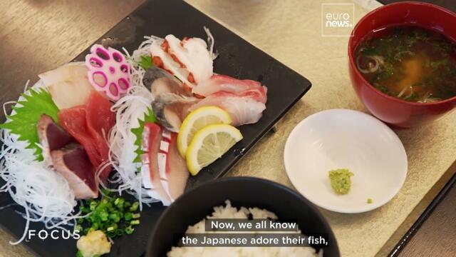 After the tsunami: Japan’s fishing communities look to the future