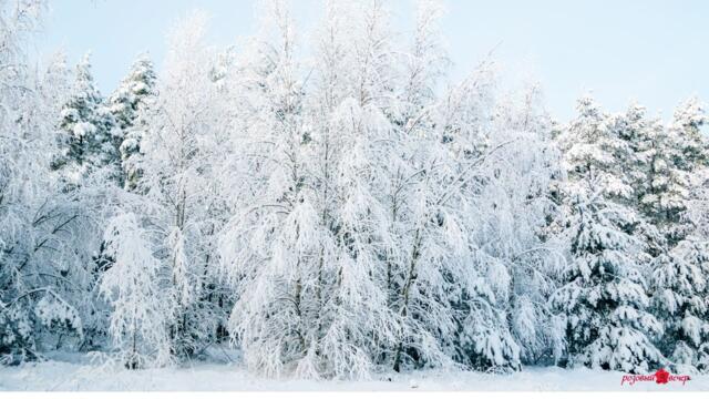 Невероятно чарующая и Вдохновляющая музыка Сергея Чекалина для души, Хочется слушать бесконечно