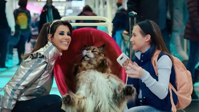 Chien et Chat Bande-annonce VF