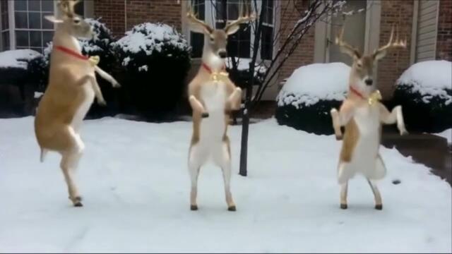 Семен Милославский  -  Зима встречает холодом