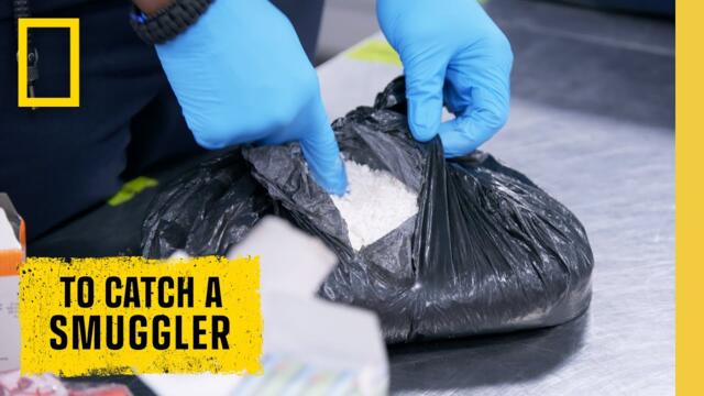 🔴 LIVE: Cocaine, Contraband, and Cartel Money: To Catch a Smuggler | S3 FULL EPISODES | @NatGeo