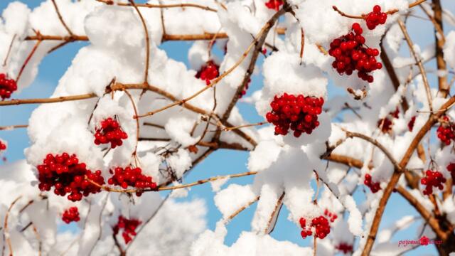 Невероятно чарующая и Вдохновляющая музыка Сергея Чекалина для души, Хочется слушать бесконечно