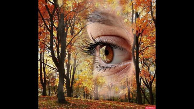 В. Фадеев   -   Последняя любовь