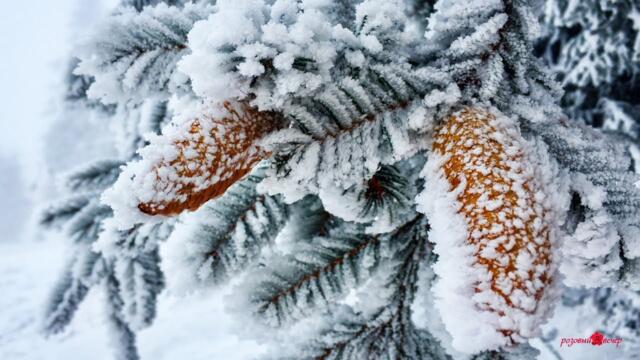 Невероятно чарующая и Вдохновляющая музыка Сергея Чекалина для души, Хочется слушать бесконечно