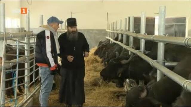 На гости на манастирското стопанство в Църногорския манастир, "Бразди" 08.01.2022 г. по БНТ