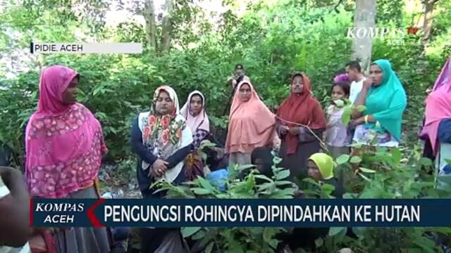 Pengungsi Rohingya Dipindahkan ke Hutan Perbatasan Hutan Pidie dengan Aceh Besar