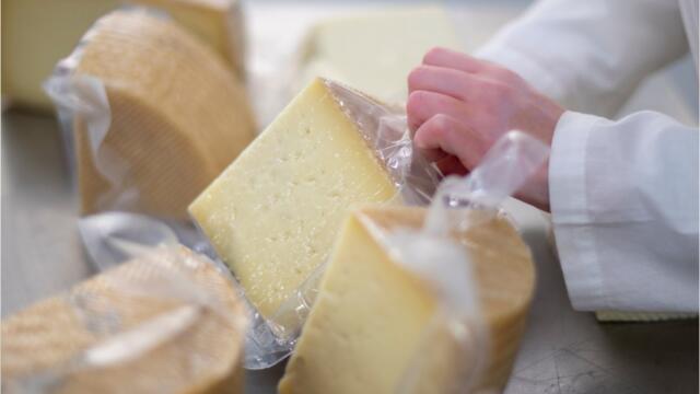 List of cheese products that have been urgently recalled over fears of E.coli contamination