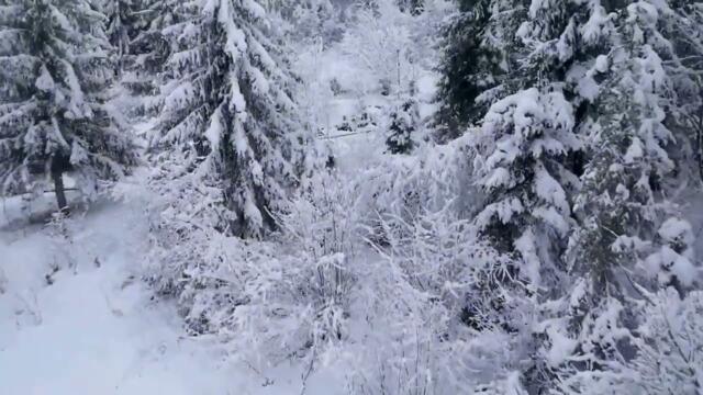 Алексей Ром  -  Зима